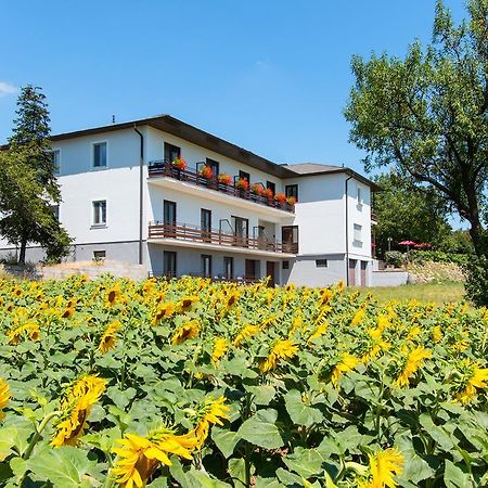 Gasthof-Pension Wein Breitenbrunn  Luaran gambar